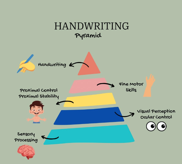 How Sensory Processing Shapes a Child’s Handwriting 