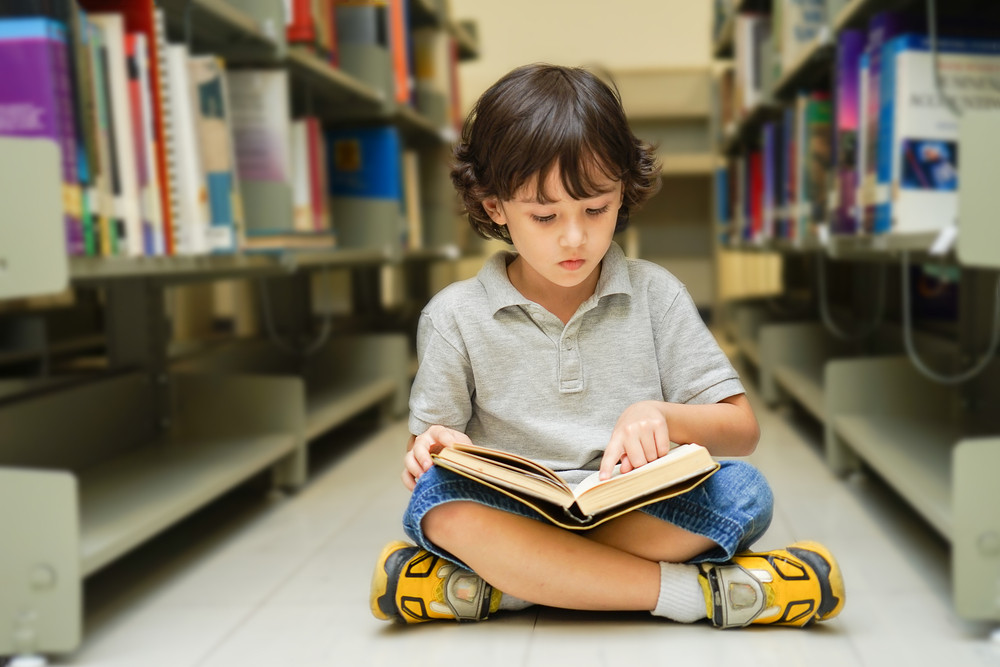 Understanding Through Images: A Path for Special Learners