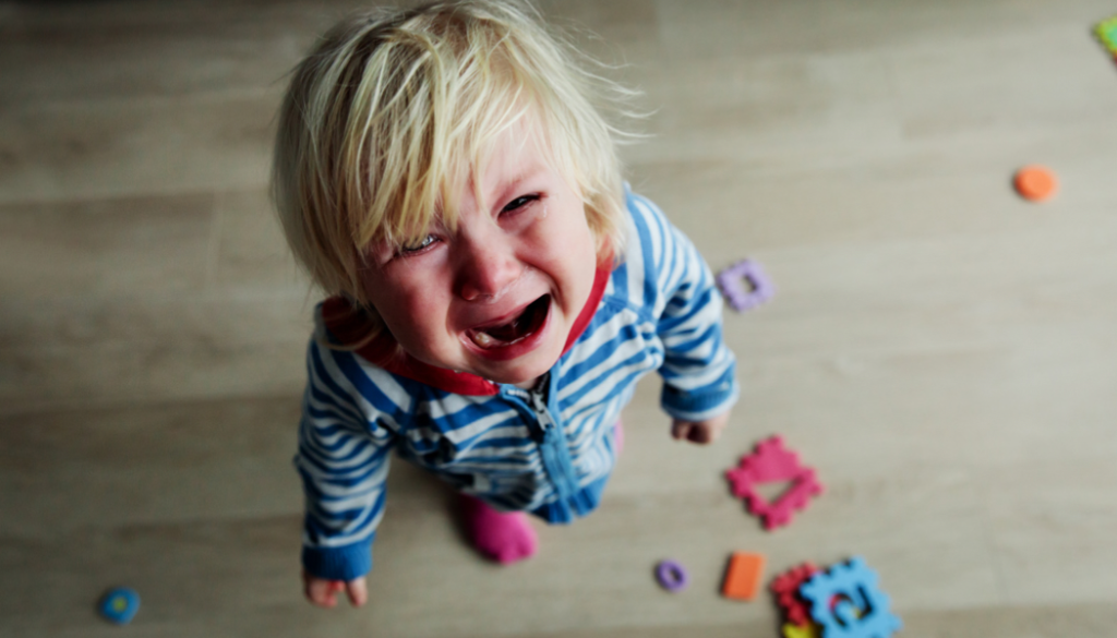“I Want It Now!” — Understanding Tangible-Seeking Behaviours in Children